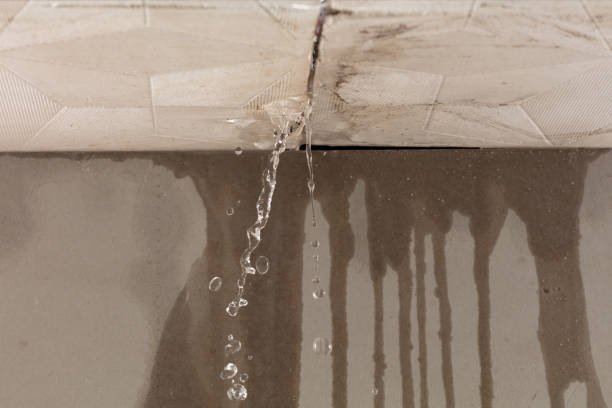 Professional Burst Pipe Cleanup technician working in Hamilton, VA